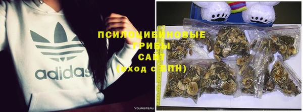 дживик Алексеевка