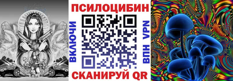Псилоцибиновые грибы GOLDEN TEACHER  где можно купить наркотик  Нелидово 